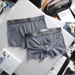 Boxer Calvin