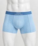 Boxer